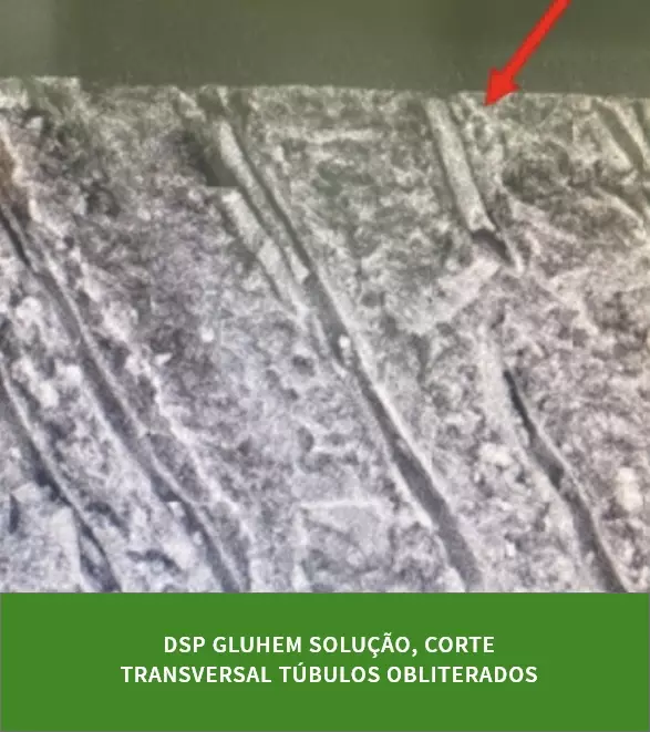 DSP Biomedical