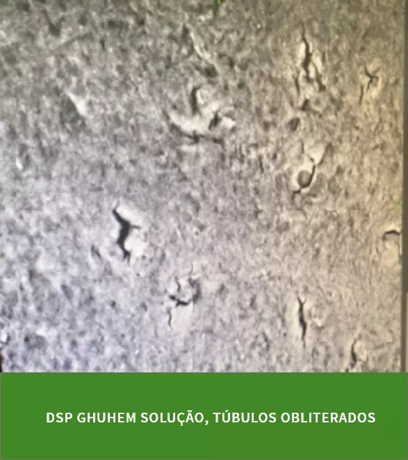 DSP Biomedical