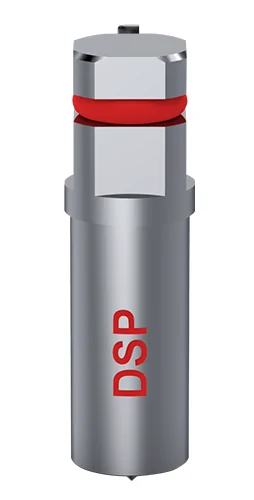 DSP Biomedical
